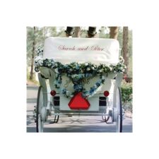 Wedding Carriage Day Invitation