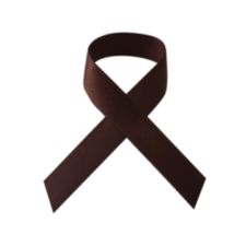 Satin Favour Ribbon 16 mm wide