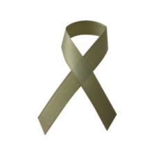 Satin Favour Ribbon 16 mm wide