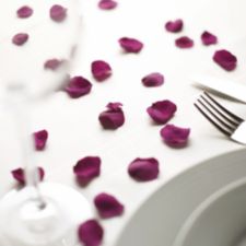 purple rose petals