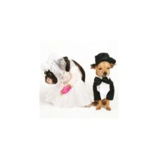 The Happy Couple Save the Date Card