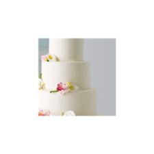 Classic Cakes Save the Date Card