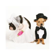 The Happy Couple Day Invitation