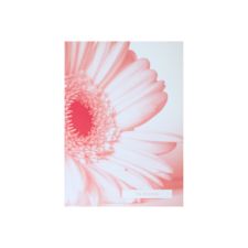 Pink Gerbera Day Invitation