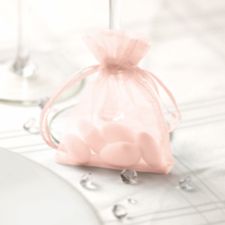  Organza Favour Bags
