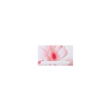 pink gerberra place card