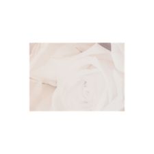 Rose Bouquet Save the Date Card