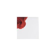 Little Gems Save the Date Card